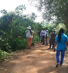 Survey of land in connection with the project of providing Mahavelya land for cultivation
