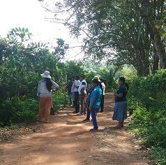 Survey of land in connection with the project of providing Mahavelya land for cultivation