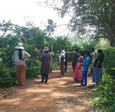 Survey of land in connection with the project of providing Mahavelya land for cultivation