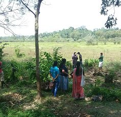 Survey of land in connection with the project of providing Mahavelya land for cultivation