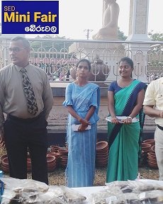 SED Mini Fair