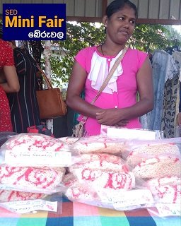 SED Mini Fair