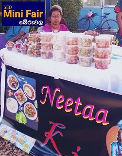 SED Mini Fair