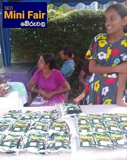 SED Mini Fair