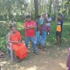 Removal of a dangerous tree in Duvegoda