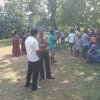 Removal of a dangerous tree in Duvegoda