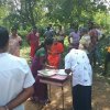 Removal of a dangerous tree in Duvegoda