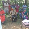 Removal of a dangerous tree in Duvegoda