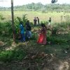 Survey of land in connection with the project of providing Mahavelya land for cultivation