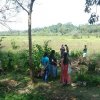 Survey of land in connection with the project of providing Mahavelya land for cultivation